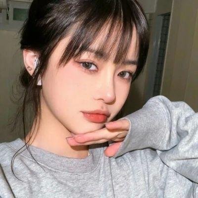 完美的独裁国家